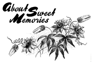 About Sweet Memories: A Rough Display Font for Digital Designers