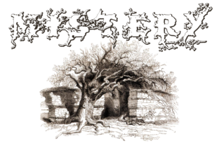 Dark Wood Beveled: A Designer's Honest Review