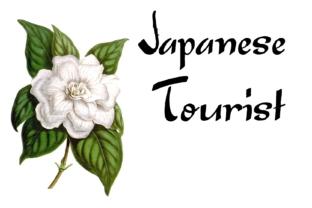 Finding the Right Voice with Japanese Tourist Font
