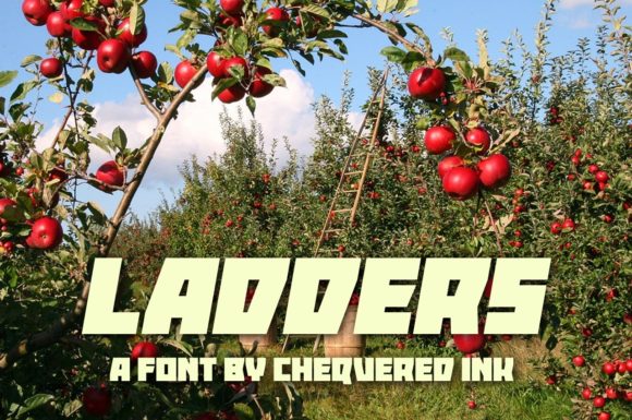 Ladders Font Brings Playful Energy to Handmade Labels
