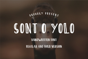 Sont O Yolo: A Bold Display Typeface for Business Branding