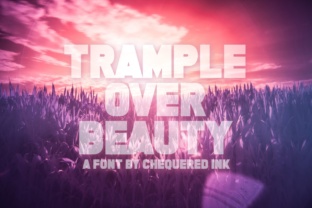 Trample over Beauty: A Display Font for Bold Editorial Design